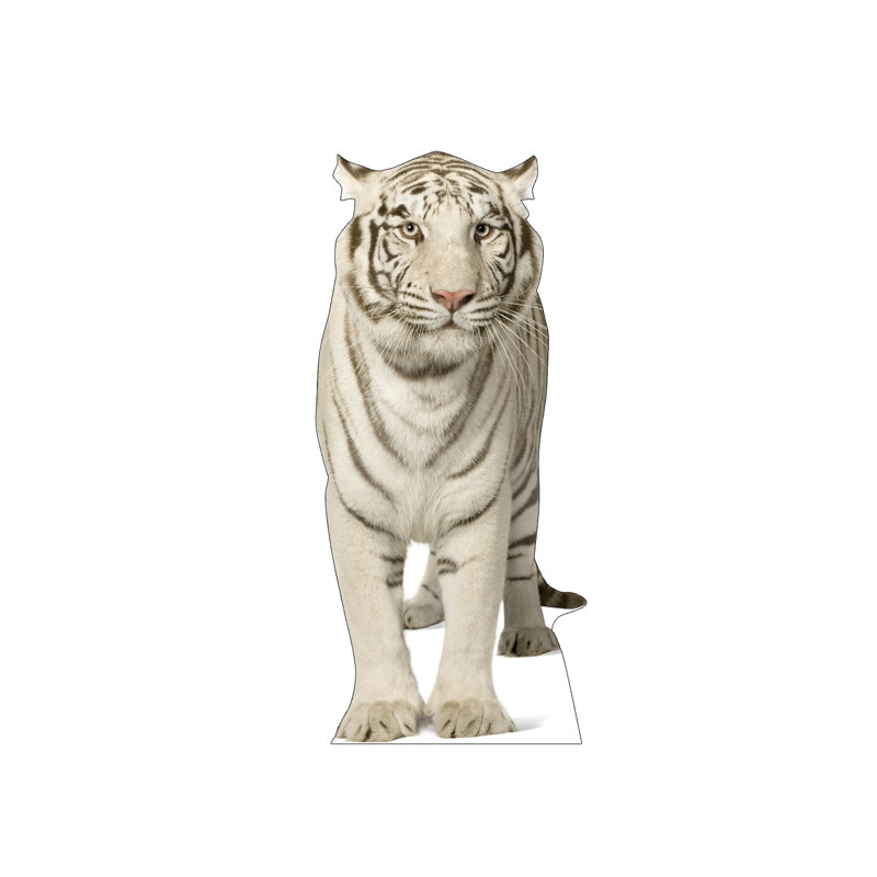 Life-Size White Tiger Cardboard Standup 52" x 24"