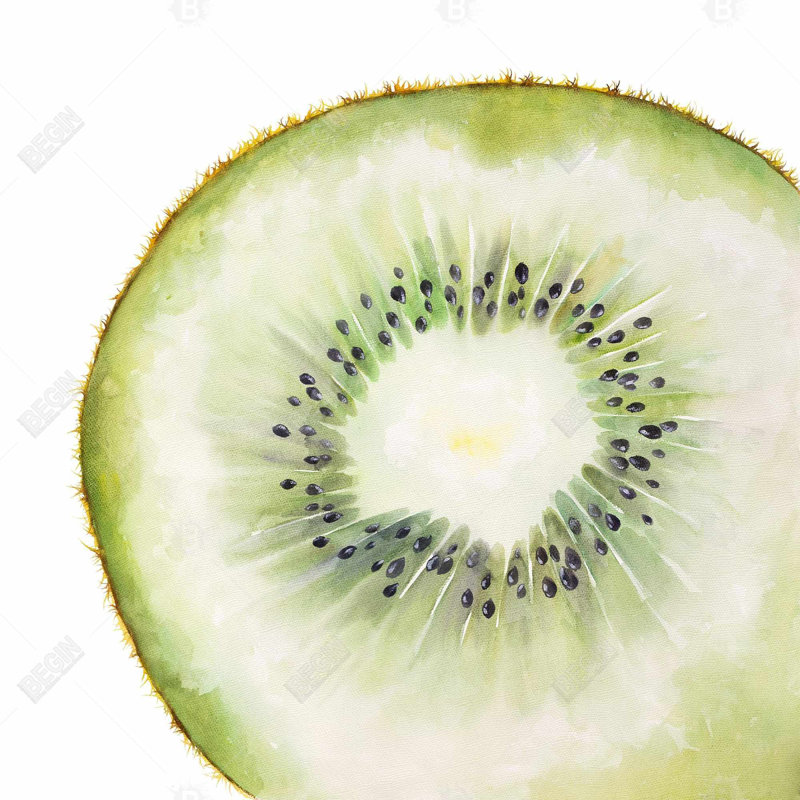 " Kiwi Slice "