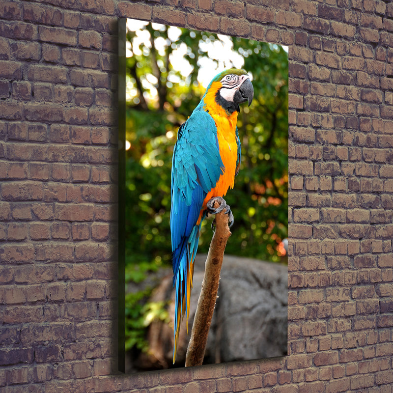Ara Parrot - Wrapped Canvas Print