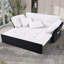 Convertible Pull Out Sofa Bed Queen Size, 3-In-1 Convertible Sleeper Couch With Thicked Cushions And Side Storage,Multi-Functional Chenille Loveseat Sofa-981195032