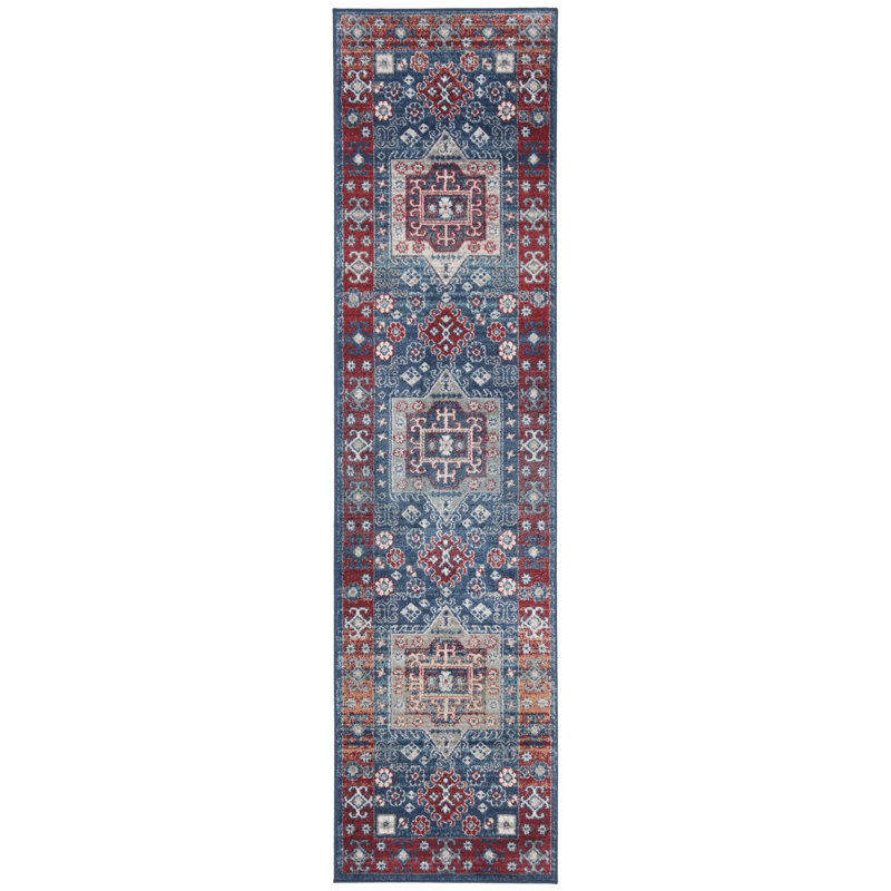 Somerville Southwestern Area Rug, Runner 61 x 244 cm
