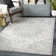 Grey/Ivory Area Rug