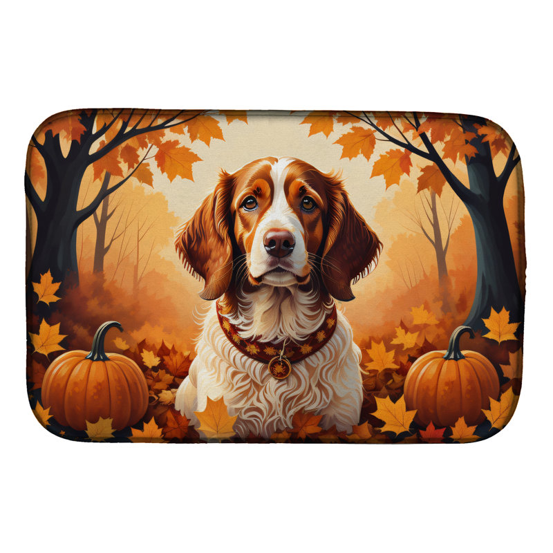 Tapis de séchage