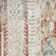Kawakami Oriental Indoor Rug