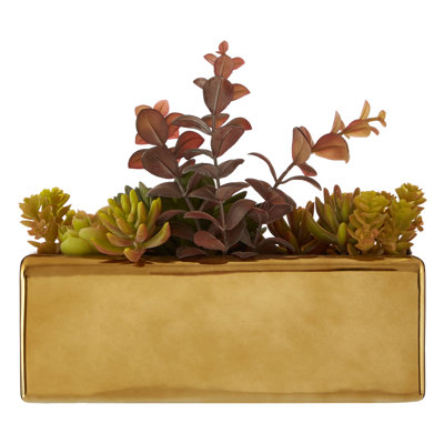 Sprague 24cm Succulent in Cement Planter