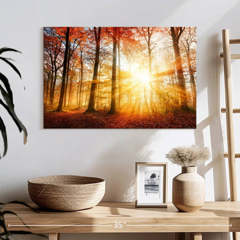 Alvord, forêt d'automne ensoleillée, H 16 po x l 24 po