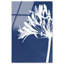 Cyan Bloom Print by Oliver Gal-779890134-779890148