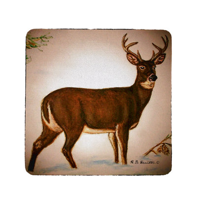 Adlai Square 4 Piece Coaster Set