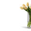 Emeline RealTouch Tulip Arrangement-429801273