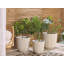 Hindmarch Pot Planter-267557356-267557358