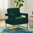 Anatonia Velvet Armchair-1470921365