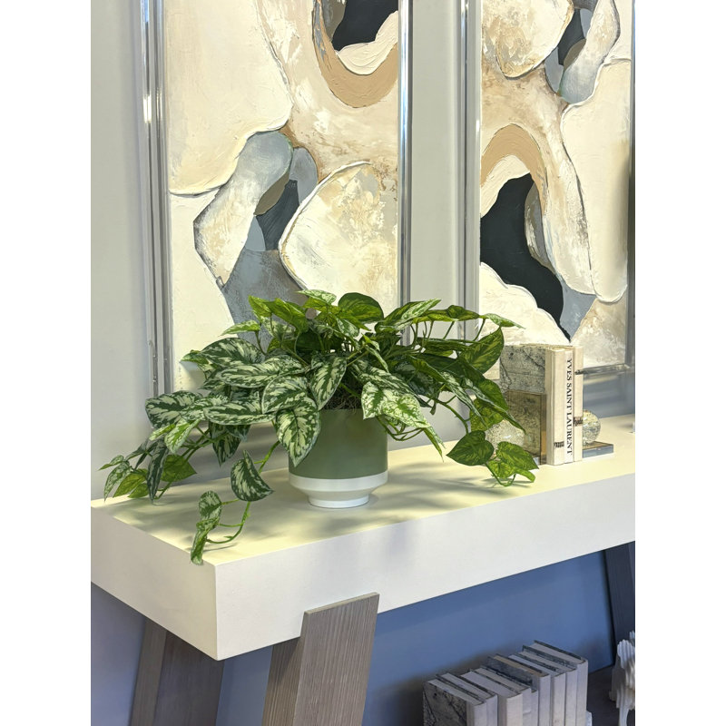 Scindapsus en pot en céramique