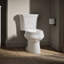Wellworth® 1.28 GPF Water Efficient Elongated Two-Piece Toilet (Seat Not Included)-101432717-10977996