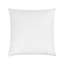 Villa Pillow Insert-939499096