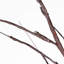 Lighted Artificial Cedar Christmas Tree-1039730332