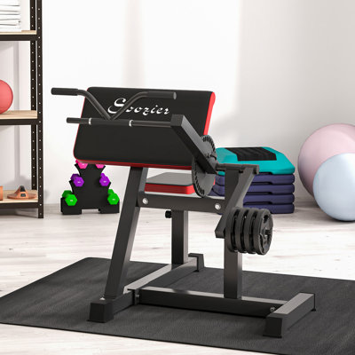 Soozier 2-In-1 Bicep Preacher Curl Bench with Adjustable Seat and Elbow Cushion, Plate Loaded Bicep Curl Machine & Tricep Extension Machine for Home Gym Workout