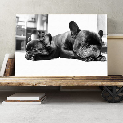 Two Black French Bulldogs Dog Photographic - Wrapped Canvas