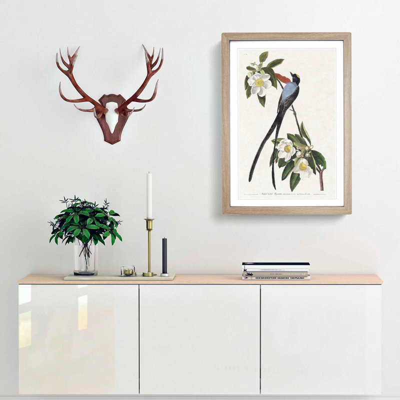 Fork-Tailed Flycatcher Bird by John Audubon - Picture Frame Painting Print, 48cm H x 36cm W x 2cm D, Oak Framed