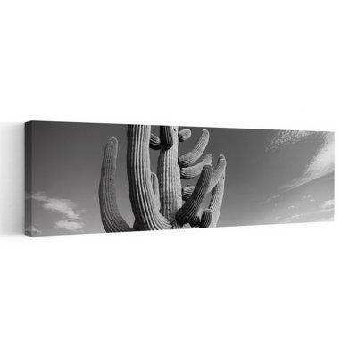 Vue en contre-plongée d'un cactus de Saguaro, parc national de Saguaro, Tucson, Pima County, Arizona, États-Unis, art contemporain contemporain, paysage mural