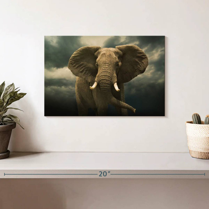 Brampt Storm Over African Elephant