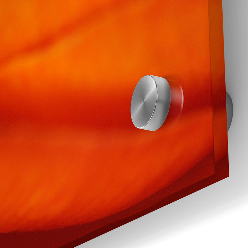 «Orange Flower Close Up» par Tom Quartermaine, H 36 po x l 36 po x P 0,2 po