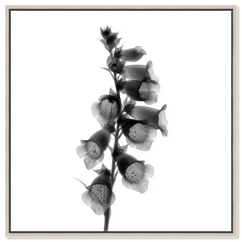 Ossified Petals II Print by Oliver Gal, 13"H x 13"W, Silver Floater Frame