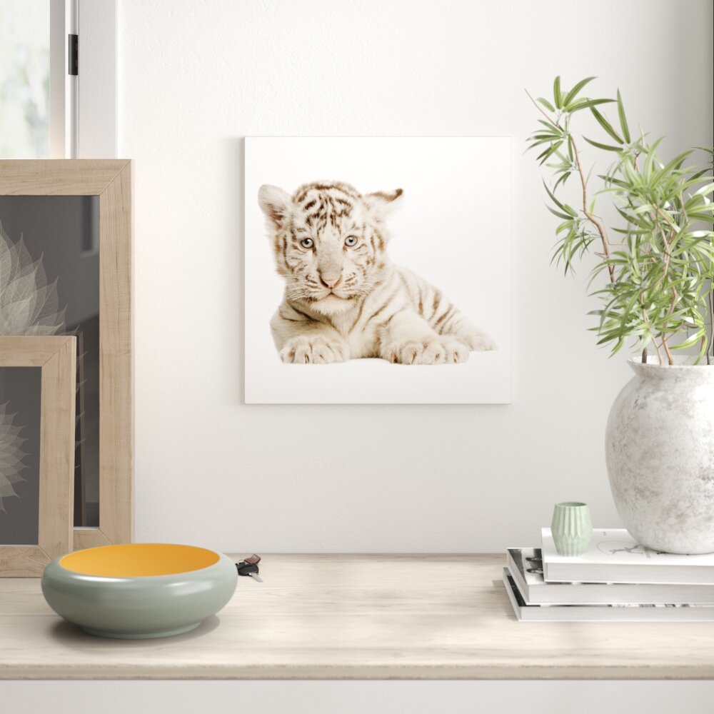 Glasbild Tiger Baby, Fotodruck