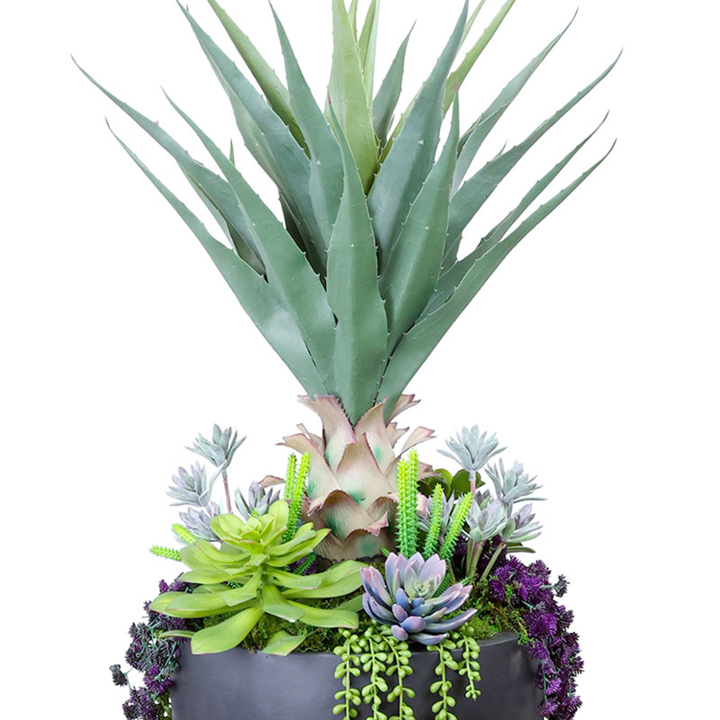 Agave Jerilyn en pot de Fiberstone avec cactus et sédum, Rond effilé