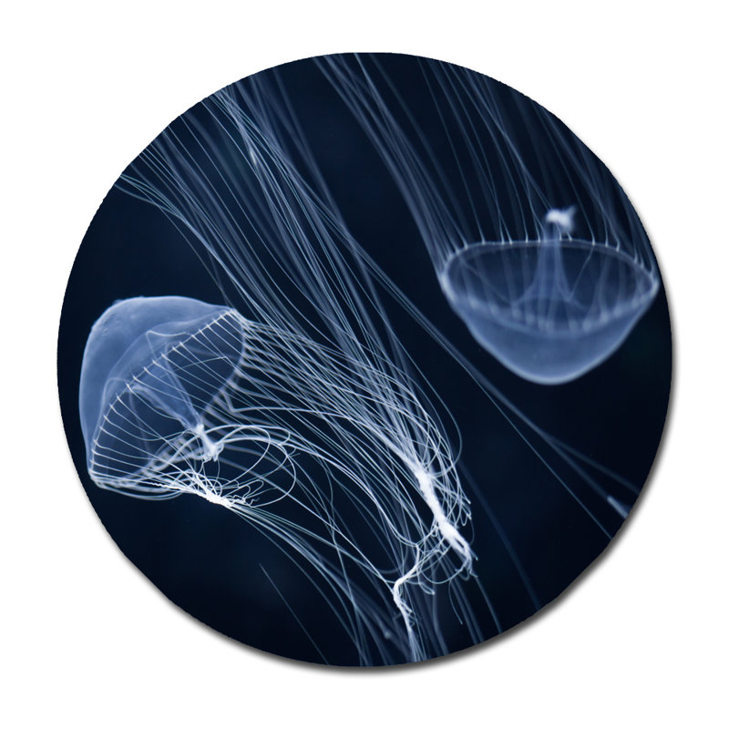 Jelly Fish Parade Three - Photographie sans cadre sur papier, H 24 po x l 24 po x P 1,5 po