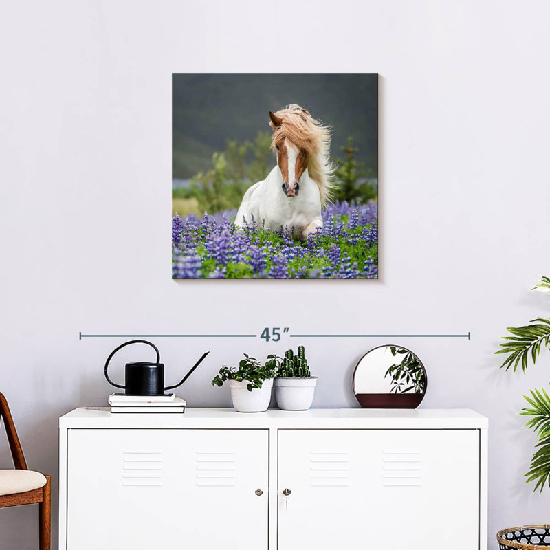 Cheval de race pure avec des lupins, H 24 po x l 24 po