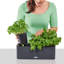 Window Box Planter-26992013