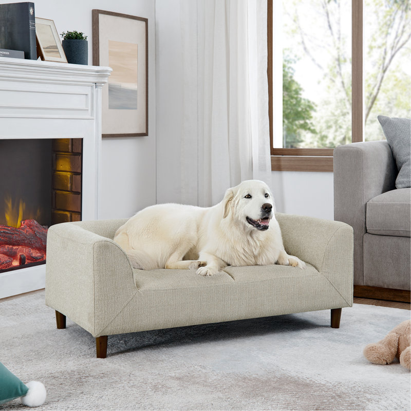 Canapé pour animaux de compagnie avec dossier et accoudoirs, canapé pour animaux de compagnie rectangulaire moderne convenant aux petits et moyens chiens, canapé pour chien confortable à coussin souple