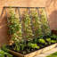 Ensemble de 2 cadres de jardin en forme de A en treillis pour plantes grimpantes avec filet en nylon et filet de concombre