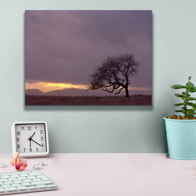 " Field " by PhotoINC Studio