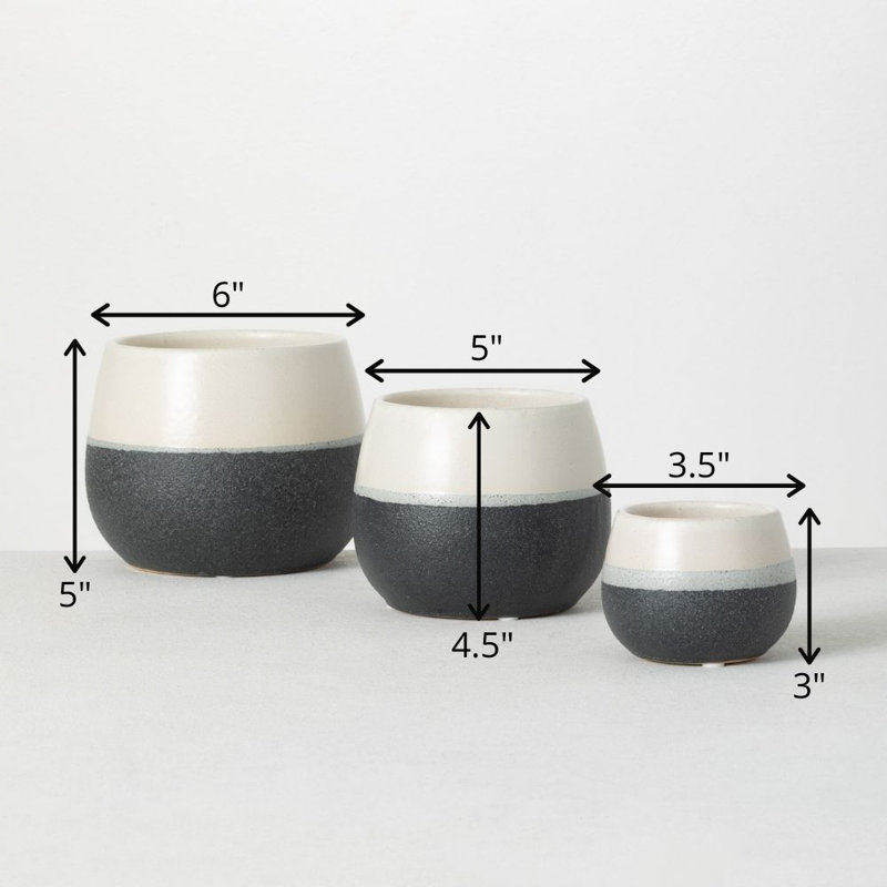 Avyanna Ceramic Pot Planter