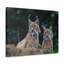 No Frame Print on Canvas-1118488553
