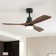132cm 1 - Light Led Ceiling Fan Light With Remote Control