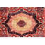 Aryana Wool Oriental Area Rug