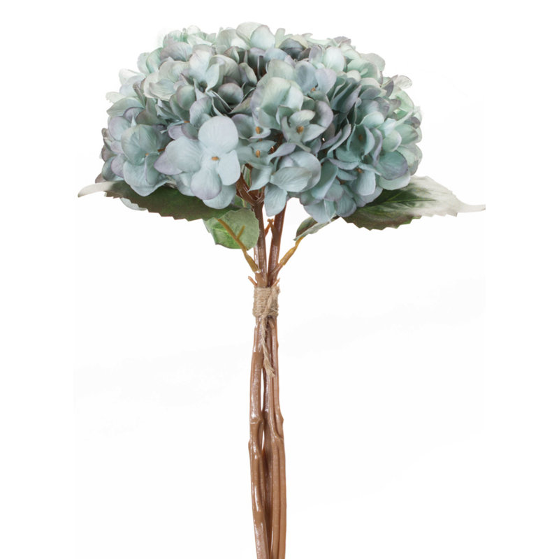 Hortensias, Bleu