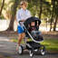 Foldable Pet Stroller-94343647