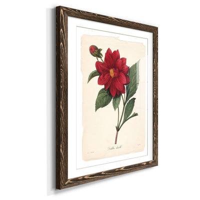 Red Botanical II - reproduction de cadre photo
