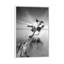 « water tree v » par moises perception-reproduction de photo-49905323-49905322