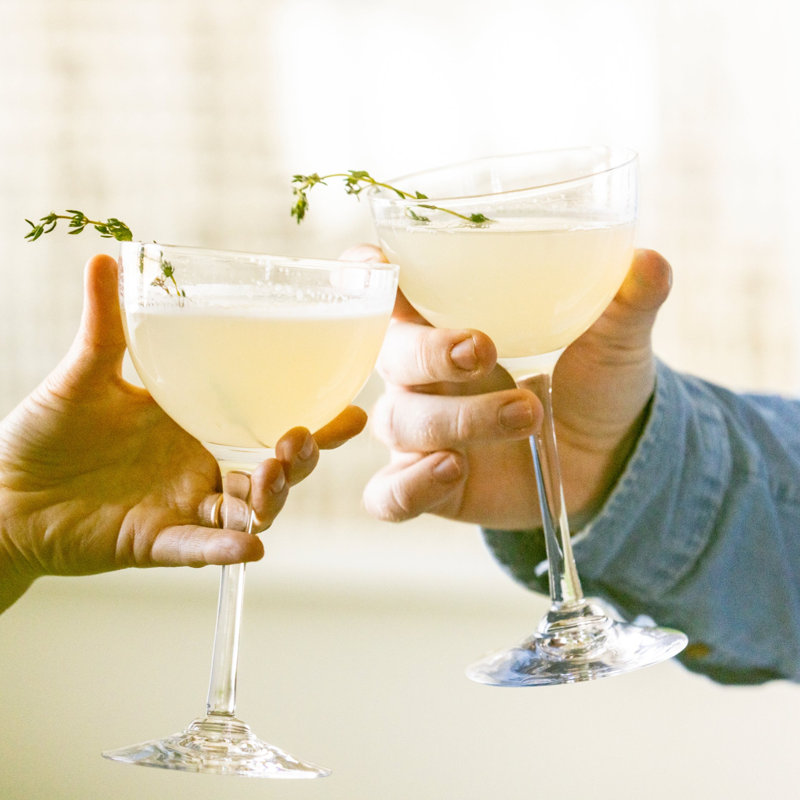Vintner Martini Glass