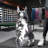 Creative Electroplated Resin Dog Figurine