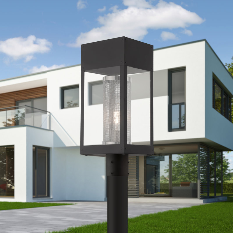 Araly Transparent Lantern Head