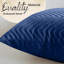 Square Scatter Cushion Cushion Cover-538576403