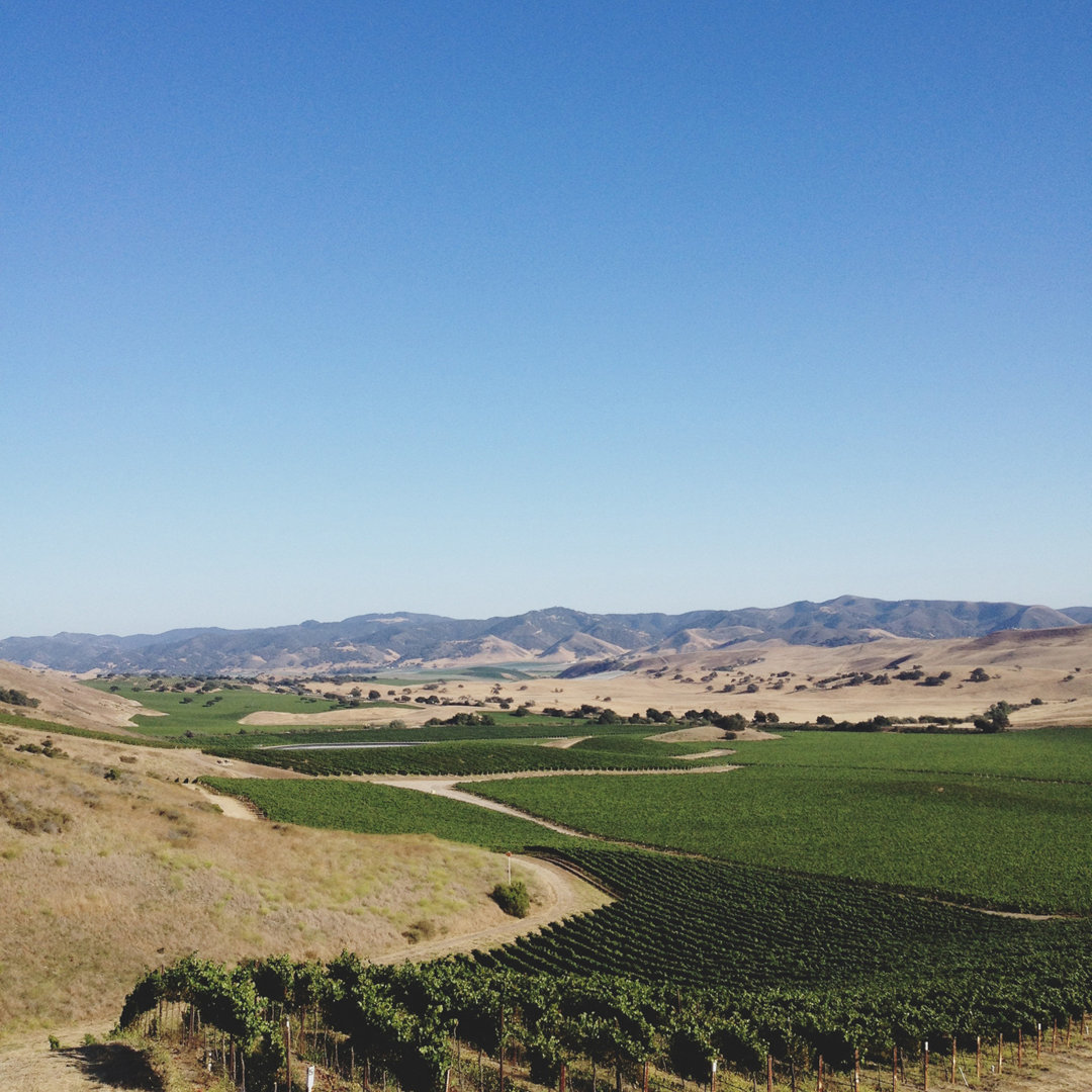 Topton Wine Country von Kevinruss - Leinwandfoto auf Leinwand