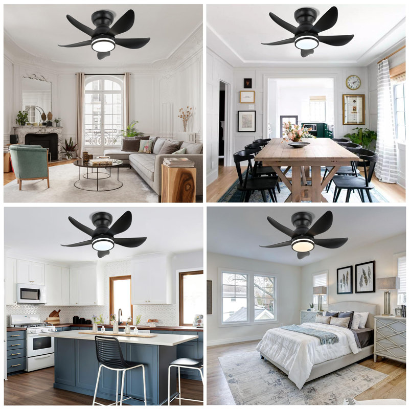 Ceiling Fan with LED Lights