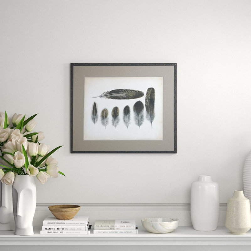 Vintage Feathers Vi Print