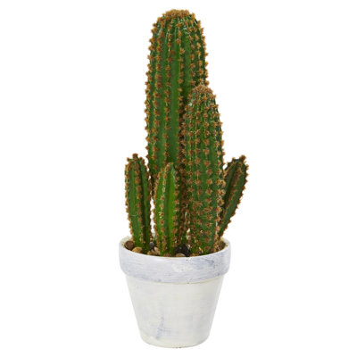 18 " H Faux Cactus Plant and Succulent in Plastic Planter